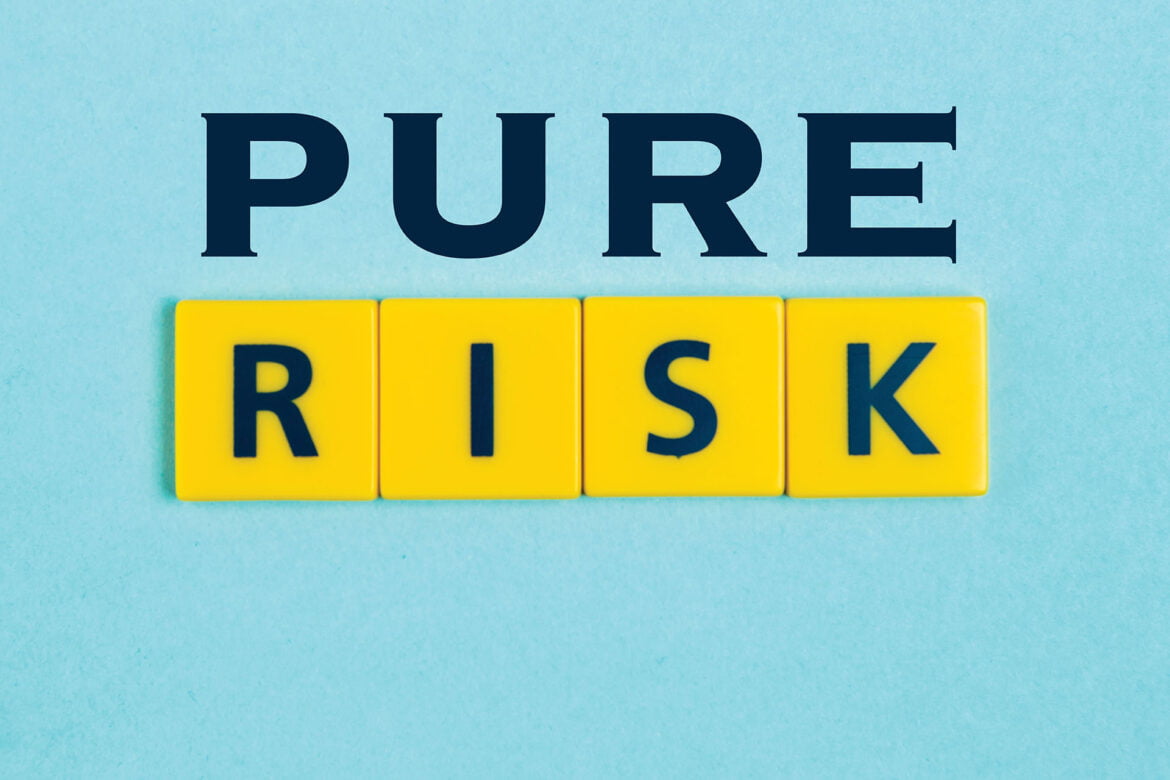 pure-risk-examples-archives